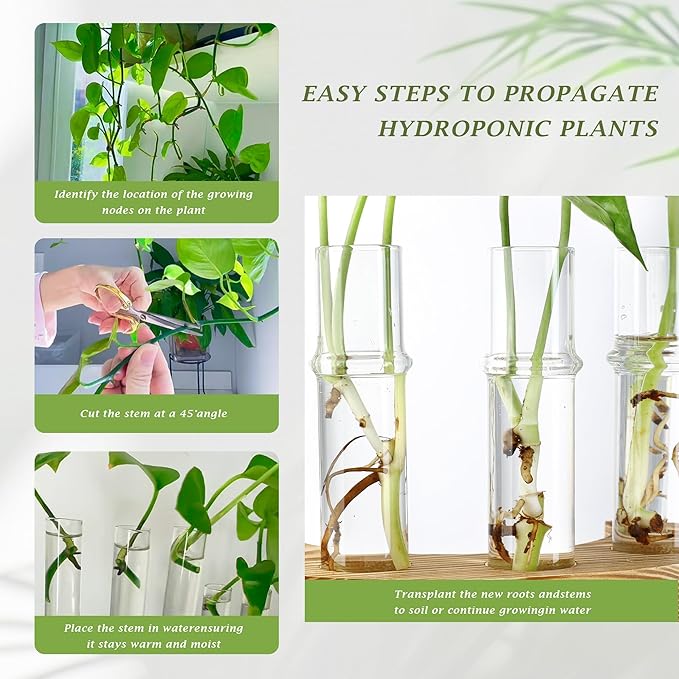 Plant Propagation Station with Wooden Stand, Valentines Day Gift, Glass Propagation Vase for Plants, Plant Terrarium Birthday Gifts for Women Mom Plants Lovers, Home Office Garden Decor, 5 Glass Tubes