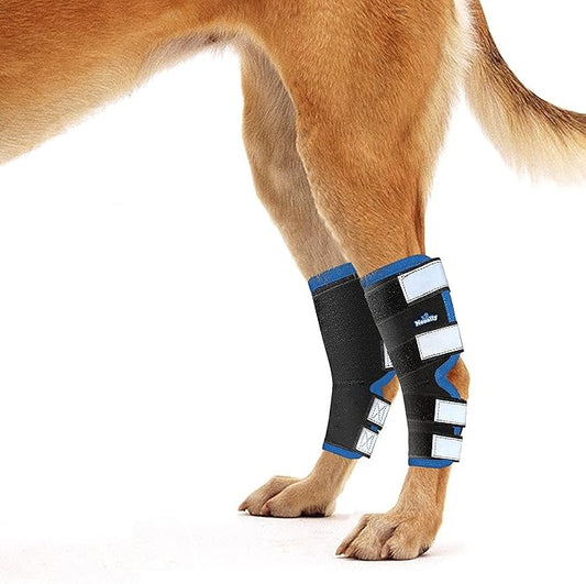 NeoAlly Dog Leg Brace [Long Version] Canine Hind Hock Support with Safety Reflective Straps for Injury and Sprain Protection, Wound Healing and Loss of Stability from Arthritis (Blue XS Pair)