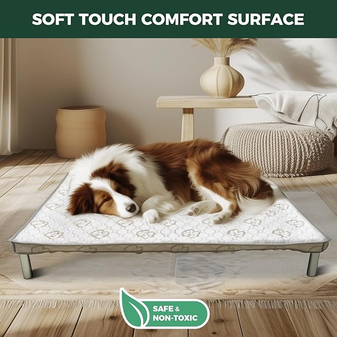 FXW TitanNest Chew-Proof Elevated Dog Bed, Raised Cot for Indoor/Outdoor/Camping Use, Durable & Washable Padded Pet Bed with Exclusive Cover for Small Dogs, 36.0" L x 24.0" W x 4.5" H, Gray