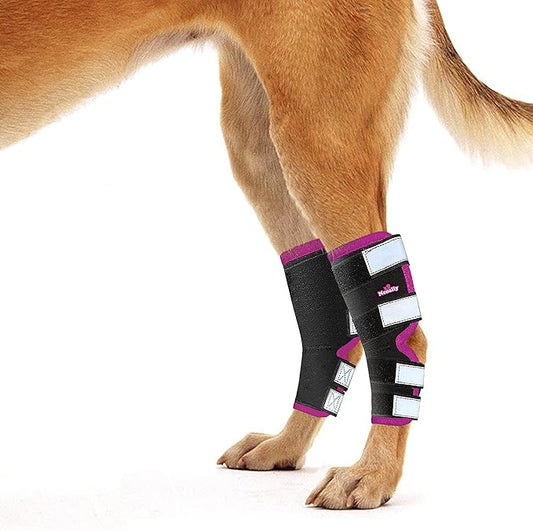 NeoAlly Dog Back Leg Braces [Long Version] Canine Hind Hock Sleeves with Safety Reflective Straps for Injury and Sprain Protection, Wound Healing and Loss of Stability from Arthritis (Pink XS Pair)