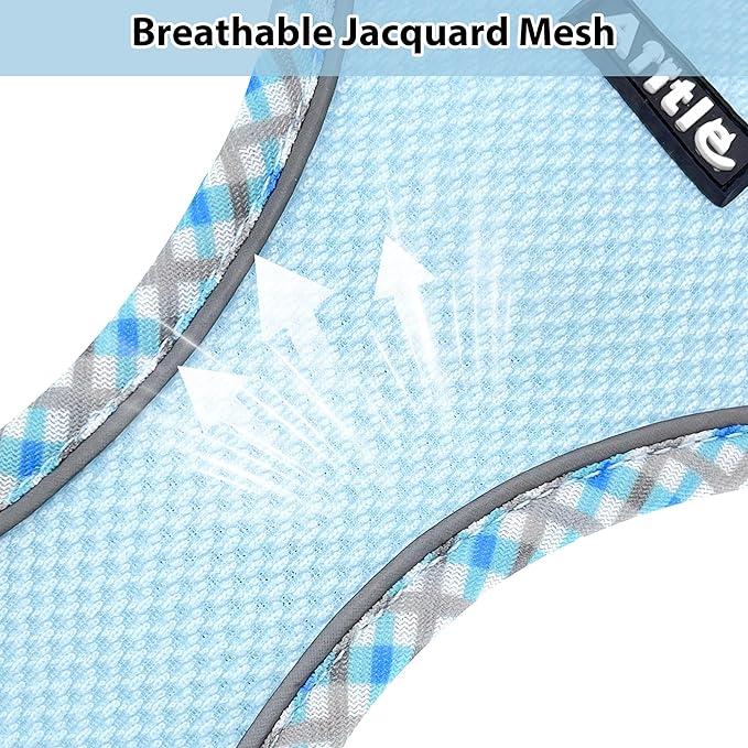 AIITLE Dog Harness and Leash Set - Ultra-Comfortable XXS-XL Vest with Strong Magic Tape & Glow-in-Dark Reflective Strips, Chafe-Free for Teddy, Schnauzer (Blue, M)