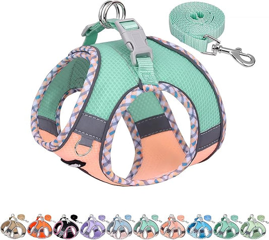 AIITLE Small Dog Harness - Breathable Double-Layer Jacquard No-Choke Vest, Durable Anti-Tear Fabric with Reflective Trim - Perfect for Running, Parties, Daily Walks (Turquoise-Pink, XS)