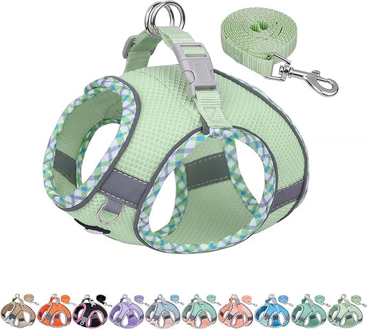 AIITLE Dog Harness and Leash Set - Ultra-Comfortable XXS-XL Vest with Strong Magic Tape & Glow-in-Dark Reflective Strips, Chafe-Free for Teddy, Schnauzer (Sage, M)