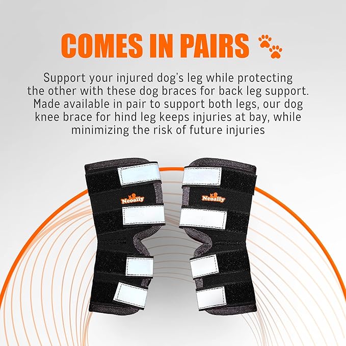 NeoAlly® - Rear Leg Hock Brace, Dog Leg Brace for Rear Leg, Hock & Ankle Support for Large Dogs, Dog Brace for Torn Acl and Ccl, Long Version, Large, 1 Pair