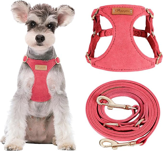 Puppytie No Pull Small Dog Harness with Multifunction Dog Leash,Lightweight Soft Adjustable No Choke Escape Proof Pet Harness Vest Pet Harness Vest,red-Camellia,S