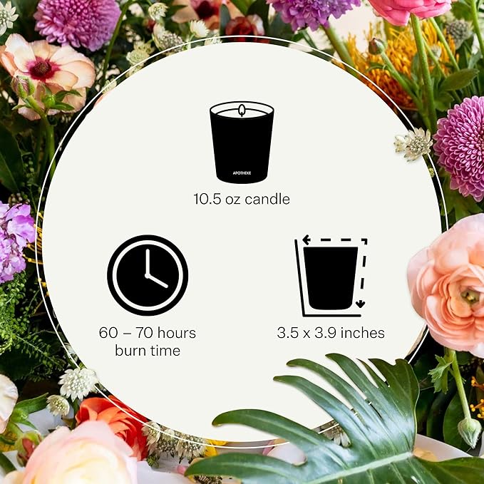 Apotheke Signature Scented Candles for Home, Black Cypress - 10.5 oz - Soy Wax, Non Toxic, Large Jar Gold - Luxury Candle Gifts for Women & Men - Bayberry, Balsam Fir, Rockrose, & Sage