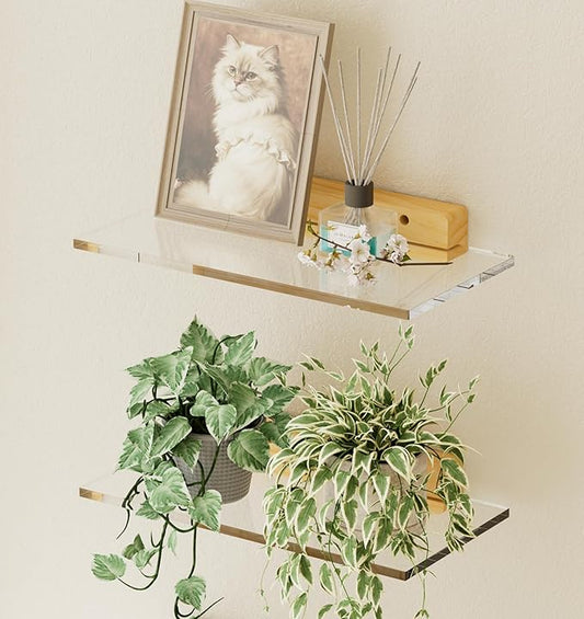 QsQueen Acrylic Floating Shelves with Solid Wood Base, Wall Mounted Shelf for Plants, Perfume, Nail Polish, Bathroom, Bedroom & Living Room Décor