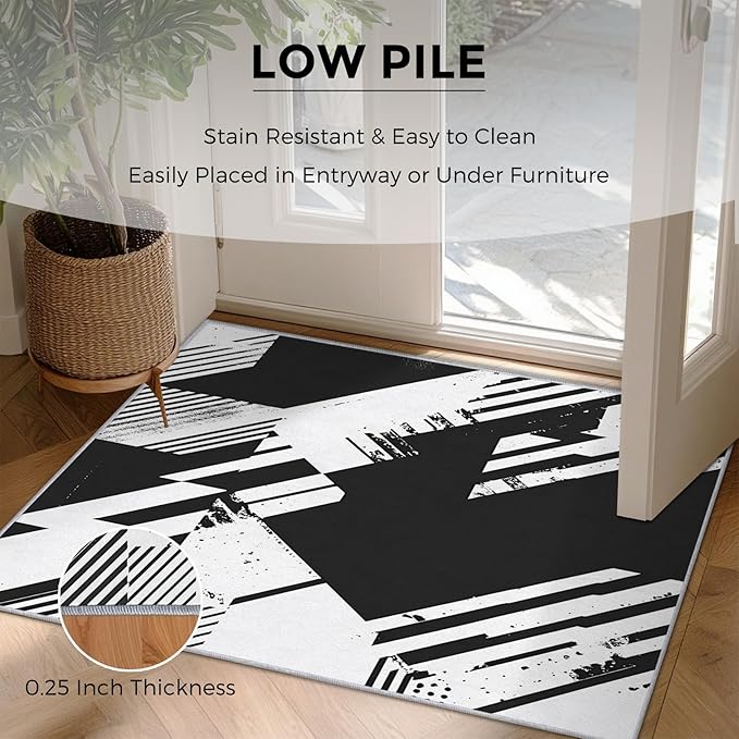 Black and White Rugs for Home Decor, 3x4 ft, Abstract Geometric Area Rugs for Living Room, Soft Non Slip Washable Modern Minimalist Carpet Bedroom Decorations Dt-Ghf-31