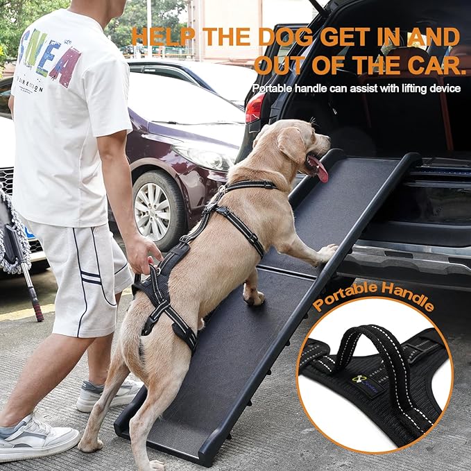 COODEO Professional Dog Sling for Hind Leg Support - Aid for Post-ACL/TPLO Surgery & Senior Dogs, Secure,Breathable & Machine-Washable with Reflective Edging for Safe Walks (Black, M)