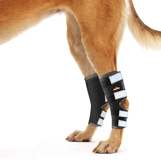 NeoAlly® - Rear Leg Hock Brace, Dog Leg Brace for Rear Leg, Hock & Ankle Support for Large Dogs, Dog Brace for Torn Acl and Ccl, Long Version, Large, 1 Pair
