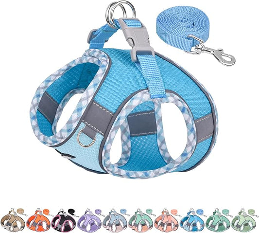AIITLE Teacup Puppy Harness with Leash - Adjustable Soft Vest with Magic Tape & Reflective Safety Strips, Easy-Put-On for Poodles, Pomeranians - Gym, Hiking, Travel (Blue, S)