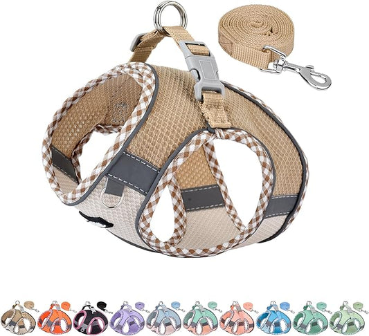 AIITLE Dog Harness and Leash Set - Ultra-Comfortable XXS-XL Vest with Strong Magic Tape & Glow-in-Dark Reflective Strips, Chafe-Free for Teddy, Schnauzer (Brown-Beige, M)