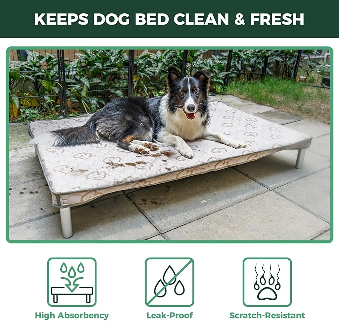 FXW TitanNest Chew-Proof Elevated Dog Bed, Raised Cot for Indoor/Outdoor/Camping Use, Durable & Waterproof Cooling Pet Bed with Exclusive Cover for Small Dogs, 36.0" L x 24.0" W x 4.5" H, Black