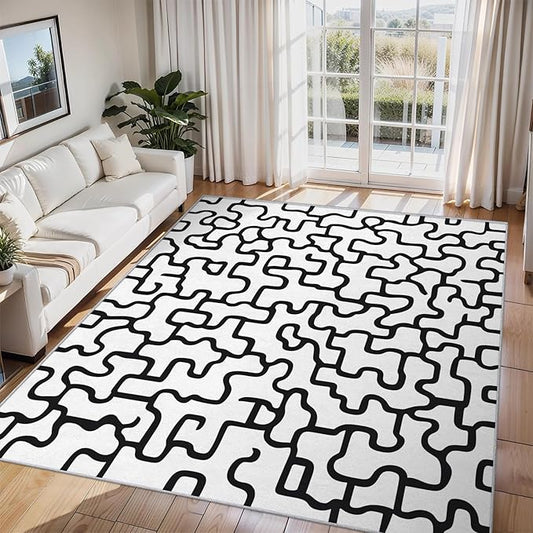 Abstract Geometric Rugs for Home Decor, 3x5 ft, Black and White Labyrinth Area Rugs for Living Room, Soft Non Slip Washable Modern Abstract Line Carpet Bedroom Decorations Dt-Ghf-31