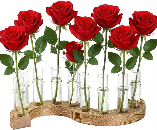 2 PCS Plant Propagation Station with Wooden Stand, Valentines Day Gifts, Glass Terrarium Vases for Plants, Birthday Gifts for Women Mom Plants Lovers, Home Office Garden Decor, 10 Tubes
