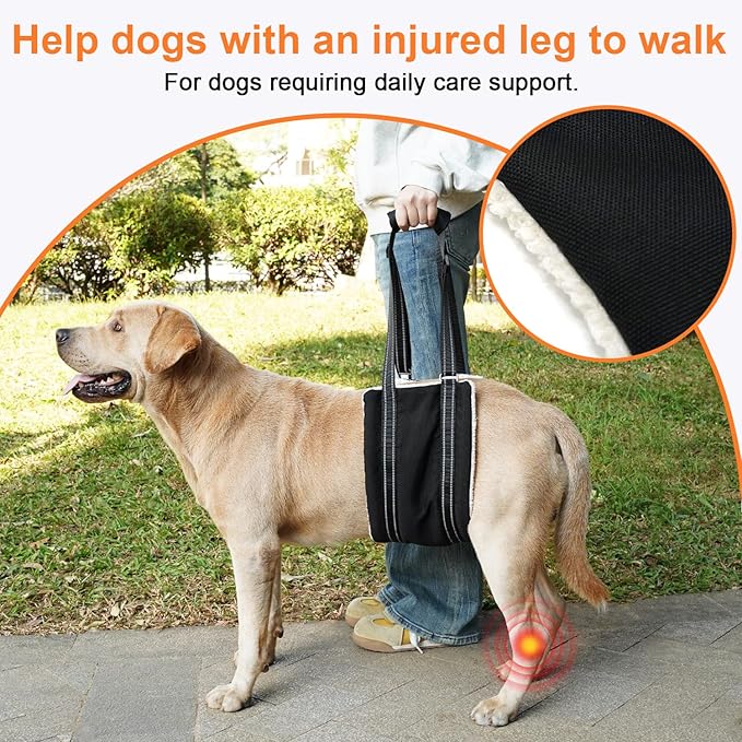 COODEO Adjustable Comfortable Dog Sling with Handle Hind Leg Support Soft Lift Support and Rehab Harness for Weak Rear Legs,Helps Senior, Injured, Disabled and After ACL Surgery Dogs Large (Black, S)