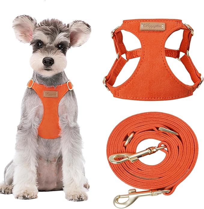 Puppytie No Pull Dog Harness with Multifunction Dog Leash,Soft Adjustable No Choke Escape Proof Pet Harness Vest for Medium Dogs or Large Dogs,Orange,M