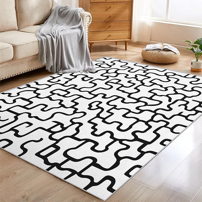 Abstract Geometric Rugs for Home Decor, 4x6 ft, Black and White Labyrinth Area Rugs for Living Room, Soft Non Slip Washable Modern Abstract Line Carpet Bedroom Decorations Dt-Ghf-31