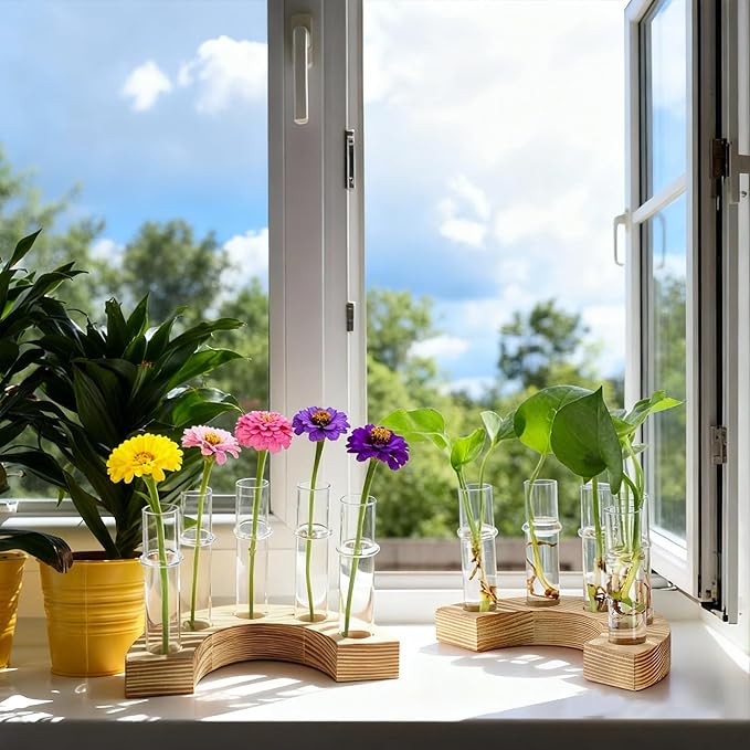 2 PCS Plant Propagation Station with Wooden Stand, Valentines Day Gifts, Glass Terrarium Vases for Plants, Birthday Gifts for Women Mom Plants Lovers, Home Office Garden Decor, 10 Tubes