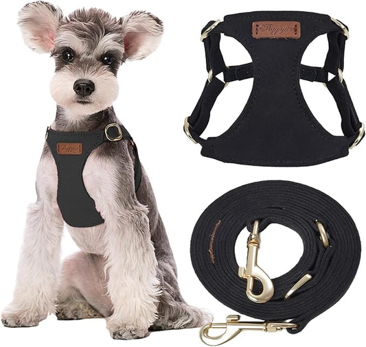 Puppytie No Pull Small Dog Harness with Multifunction Dog Leash,Lightweight Soft Adjustable No Choke Escape Proof Pet Harness Vest Pet Harness Vest,Black,M