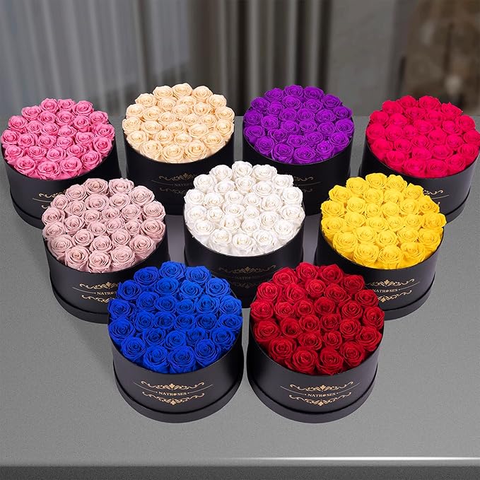 NATROSES 27 Piece Forever Preserved Roses in a Box, Preserved Flowers for Delivery Birthday, Flowers Gifts for Mothers Day, Black