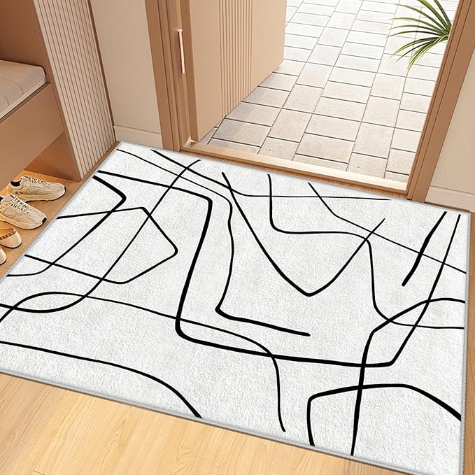 Black and White Rug - Abstract Area Rug, Black and White Rugs for Living Room, Modern Minimalist Washable Rugs, Contemporary Carpet Non Slip Home Decor, Curve 4x5