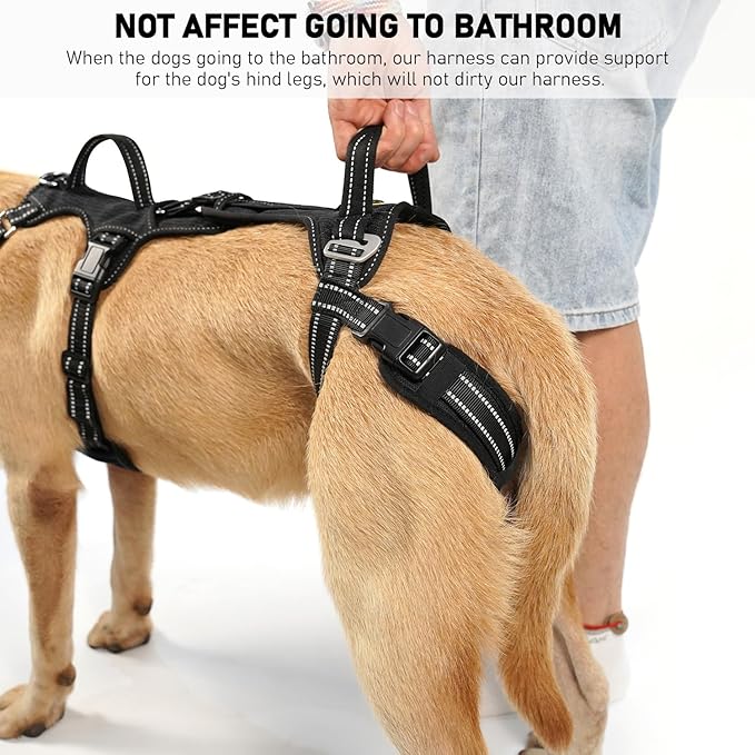 COODEO Mobility Dog Lift Harness, Support Sling & Walking Sling for Dogs, Pet Rear Leg Rehabilitation Support Vest, Dog Carrier for Senior Dogs with Joint Injuries, Arthritis, Up Stair (Black, XL)