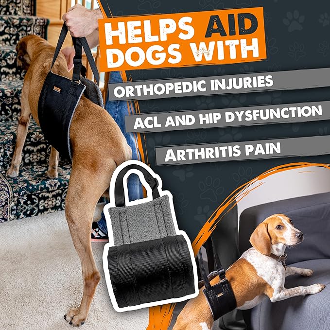 Mighty Paw Dog Lift Harness - 60-100 lbs Dog Hip and Hind Leg Support Sling - Comfortable Assistance for Elderly or Injured Pets with Hip and ACL Brace - Back Support Harness Carrying Sling - Large