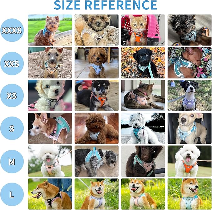 AIITLE Small Dog Harness - Breathable Double-Layer Jacquard No-Choke Vest, Durable Anti-Tear Fabric with Reflective Trim - Perfect for Running, Parties, Daily Walks (Turquoise, XS)