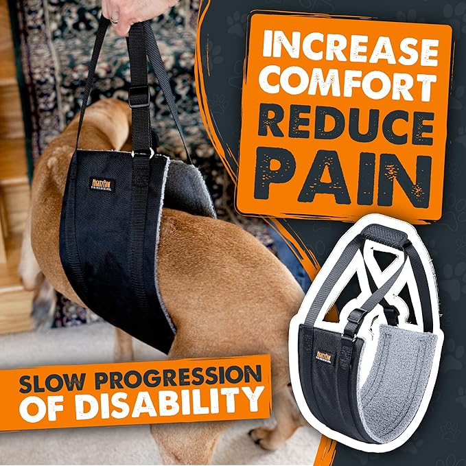 Mighty Paw Dog Lift Harness - 0-20 lbs Dog Hip and Hind Leg Support Sling - Comfortable Assistance for Elderly or Injured Pets with Hip and ACL Brace - Back Support Harness Carrying Sling - Small