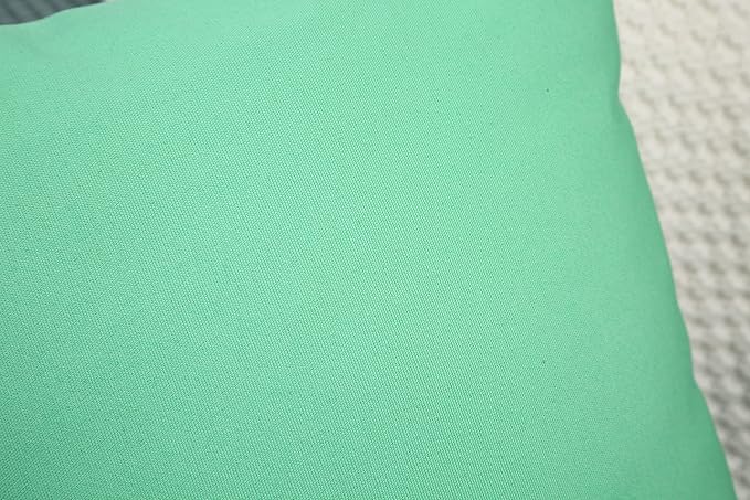 TangDepot Handmade Decorative Solid 100% Cotton Canvas Throw Pillow Covers/Cushion Covers, 45 Colors Available - (12" x 12" , Mint Green, 1 Count (Pack of 1))