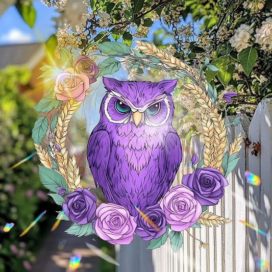 VAIIEYO Owl Acrylic Sun Catcher Window Hanging Decoration, 7.8 Inch Double-Sided Light Reflecting Ornament for Window, Garden, Porch or Balcony Decor, Housewarming, Gift for Natural Lovers